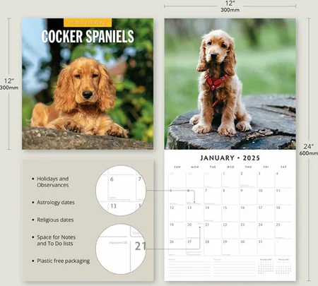 Kalender 2025 - Cocker Spaniels - afbeelding 3