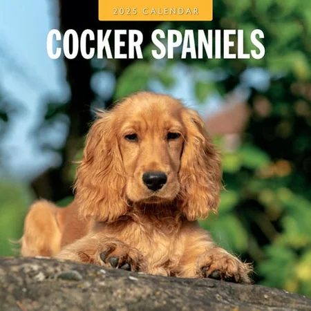 Kalender 2025 - Cocker Spaniels - afbeelding 1