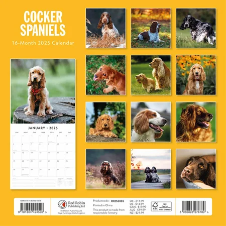 Kalender 2025 - Cocker Spaniels - afbeelding 2