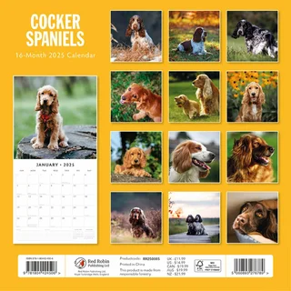 Kalender 2025 - Cocker Spaniels - afbeelding 2