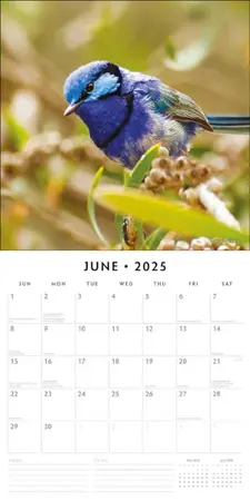 Kalender 2025 - Cute Birds - afbeelding 3