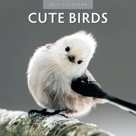 Kalender 2025 - Cute Birds - afbeelding 1