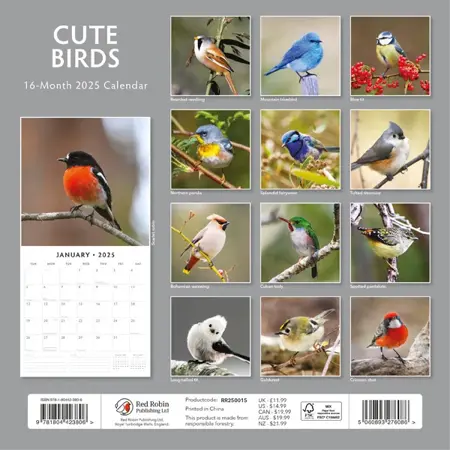 Kalender 2025 - Cute Birds - afbeelding 2