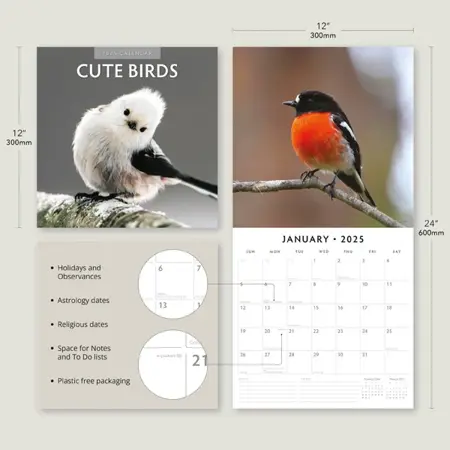 Kalender 2025 - Cute Birds - afbeelding 4