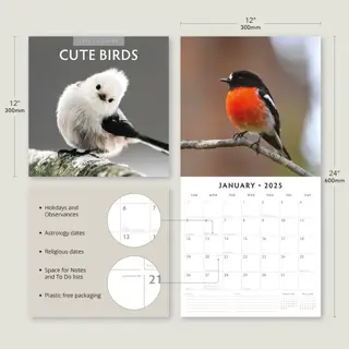 Kalender 2025 - Cute Birds - afbeelding 4