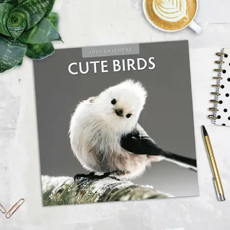 Kalender 2025 - Cute Birds - afbeelding 6