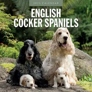 Kalender 2025 - Engelse Cocker Spaniels - afbeelding 1