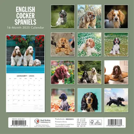 Kalender 2025 - Engelse Cocker Spaniels - afbeelding 2