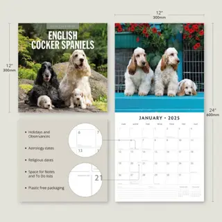 Kalender 2025 - Engelse Cocker Spaniels - afbeelding 4