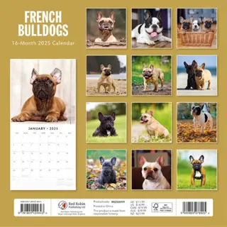 Kalender 2025 - French Bulldogs - afbeelding 2