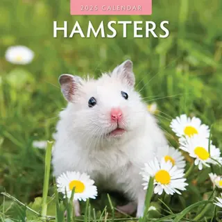 Kalender 2025 - Hamsters - afbeelding 1