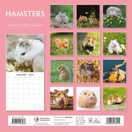 Kalender 2025 - Hamsters - afbeelding 2