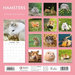 Kalender 2025 - Hamsters - afbeelding 2