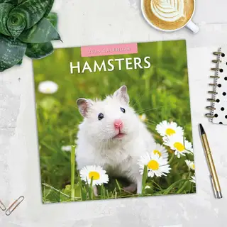 Kalender 2025 - Hamsters - afbeelding 4