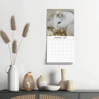 Kalender 2025 - Hamsters - afbeelding 5