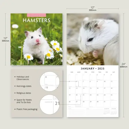 Kalender 2025 - Hamsters - afbeelding 6