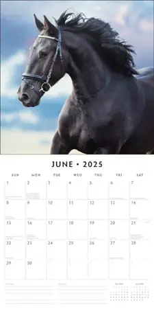 Kalender 2025 - Horses