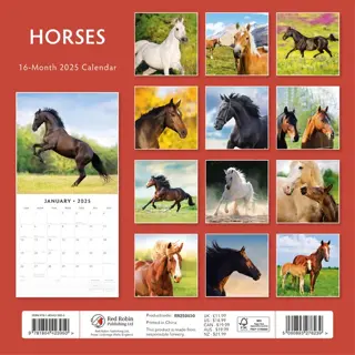 Kalender 2025 - Horses