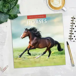 Kalender 2025 - Horses