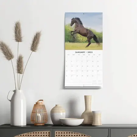 Kalender 2025 - Horses