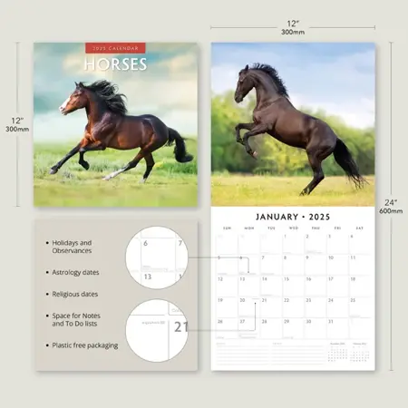 Kalender 2025 - Horses