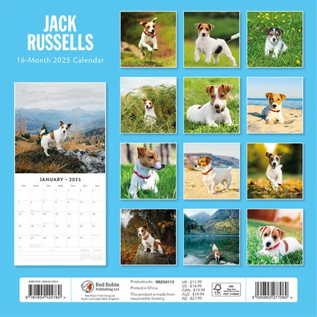 ack Russell Terrier Kalender 2025 - 13 Prachtige Foto's van Jack Russell Terriers