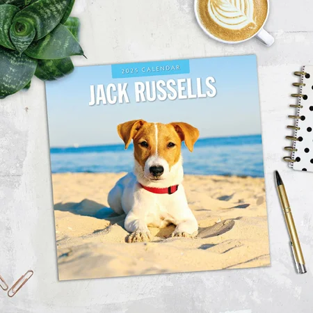 ack Russell Terrier Kalender 2025 - 13 Prachtige Foto's van Jack Russell Terriers