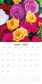 Roses Kalender 2025 - 13 Full-Color Foto's van Prachtige Rozen