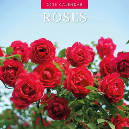 Roses Kalender 2025 - 13 Full-Color Foto's van Prachtige Rozen