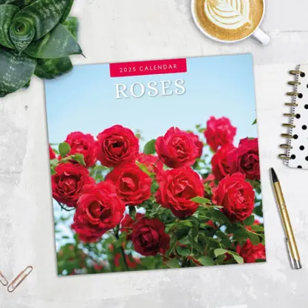 Roses Kalender 2025 - 13 Full-Color Foto's van Prachtige Rozen