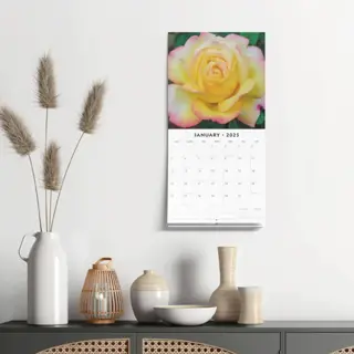 Roses Kalender 2025 - 13 Full-Color Foto's van Prachtige Rozen