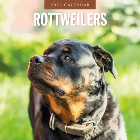 Kalender 2025 - Rottweilers - afbeelding 1