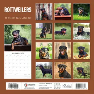 Kalender 2025 - Rottweilers - afbeelding 4