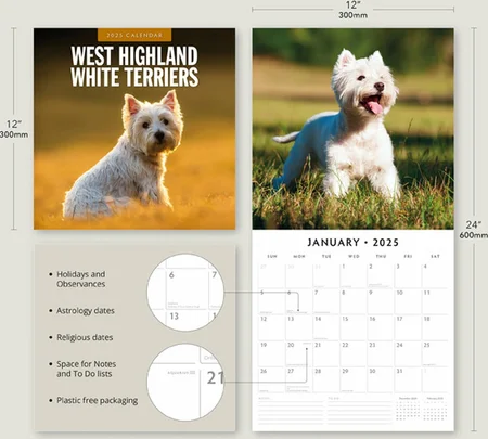 Kalender 2025 - West Highland White Terriers