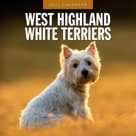 Kalender 2025 - West Highland White Terriers