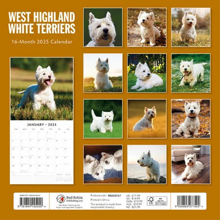 Kalender 2025 - West Highland White Terriers