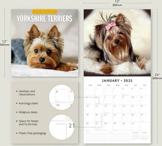 Kalender 2025 - Yorkshire Terriers