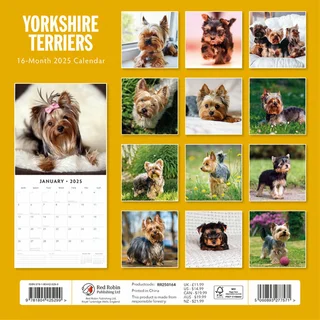 Kalender 2025 - Yorkshire Terriers