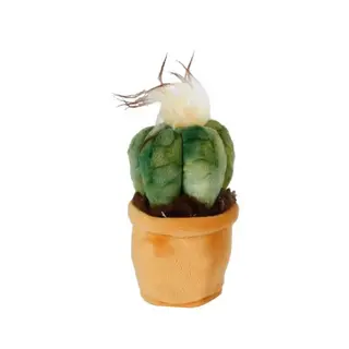 Knuffelplant Pluche Cactus Medium