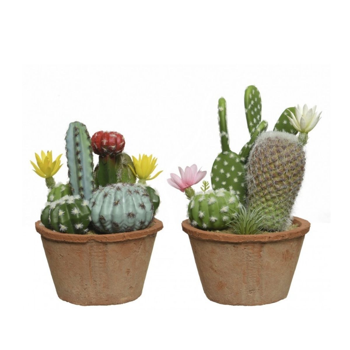 Versnel hemel Belangrijk nieuws Kunstplant Cactusmix In Terracotta Pot