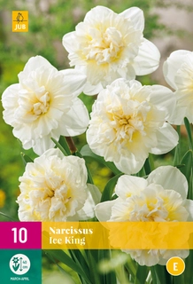 Narcissen Ice King - 10 bloembollen