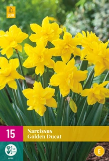 Narcissus Golden Ducat - 15 bloembollen