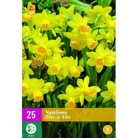 Narcissus Tete-a-Tete - 25 bloembollen