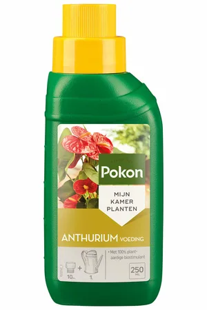 Pokon Anthurium Voeding 250ml