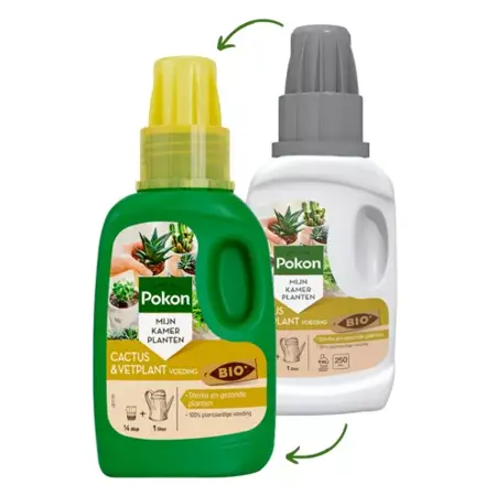 Pokon Bio Cactus & Vetplant Voeding 250ml