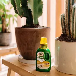 Pokon Bio Cactus & Vetplant Voeding 250ml