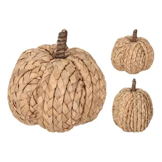 Pompoen Naturel 15cm (assorti)