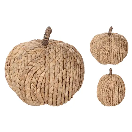 Pompoen Naturel 20cm (assorti)