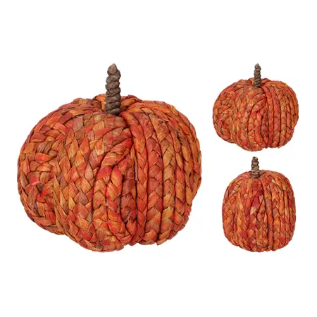 Pompoen Oranje 15cm (assorti)