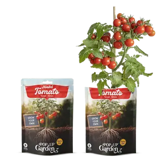 Pop-up Garden Tomaat Rood Sappig